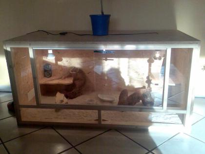 Bartagame Terrarium u. Zubehör