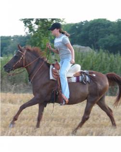 Suche Reitbeteiligung