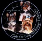 Club der original Bieweryorkshire